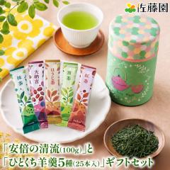 �ЂƂ����r�5��25�{���聕���{�̐���100g�Z�b�g ���� �Β� ���� �r���� �悤���� �a�َq � �h�V�̓� ���َq ��� �X�e�B�b�N �M�t