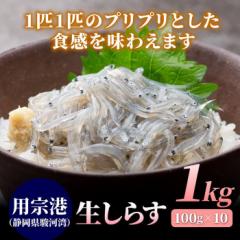 �É����Y �N�x�����̐����炷 1kg�i100g�~10�j ������ ��e�� �É� �x�͘p �p�@�` �V���X �Ⓚ