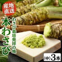 �킳�э͔|���˂̒n�u�L���؁v�̖{�킳�с@���T�C�Y3�{�Z�b�g�i1�{40g�`60g�j ���T�r �R�� �É� �L���� ��������