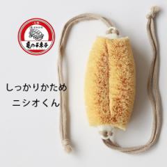 �T�̎q���킵�́u�R�t���{�f�B���킵�v�i�������j�^���N���킵�i�z���C�g�p�[���j�j�V�I����y���{�� �T�̎q���q �������X ���N���q �{�f