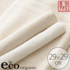 ���{�� �E�H�b�V���^�I���u�G�R�I�[�K�j�b�N�p�C���v��B�^�I���y�n���h�^�I�� �~�j�^�I�� �I�[�K�j�b�N�R�b�g�� �i�`������ ��100�� ��