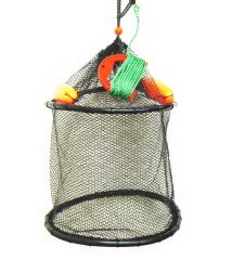 �A���C�u ���o�[�z�[�X���� �X�J�� �t���[�g�E���[�v�t KG-206 36cm�~2�i / SALE10