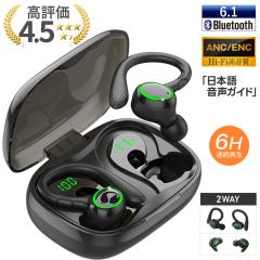 エレコム オープンイヤー型ワイヤレスイヤホン Bluetooth 5.4 マット