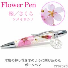 Flower Pen iFj \CVm TFB2020 pk ] ԕ {[y F-STYLE t[y p[J[ 0.7mm wj Əj A