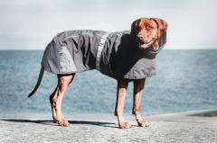 Hurtta フルッタ お店のカテゴリ 1stdogcafeネットショッピング 通販はau Pay マーケット