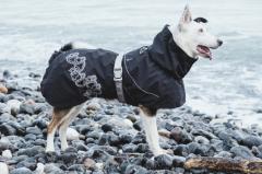 Hurtta フルッタ お店のカテゴリ 1stdogcafeネットショッピング 通販はau Pay マーケット