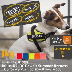  �y���{���㗝�X���c�X�z���������@Julius-K9�@���b�V���^�C�v�@�����E�X�P�[�i�C���E�h�c�b�p���[�T�}�[�n�[�l�X ���E���^���T�C�Y�@�p