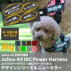 �y���{���㗝�X���c�X�z �y���������z�yJulius-K9�z�����E�X�P�[�i�C���E�h�c�b�p���[�n�[�l�X �f�U�C���V���[�Y���j���[�J���[ Size0�`3