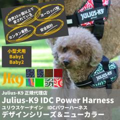 �y���{���㗝�X���c�X�z �y���������z�yJulius-K9�z�����E�X�P�[�i�C���E�h�c�b�p���[�n�[�l�X �f�U�C���V���[�Y���j���[�J���[ Baby�T�C