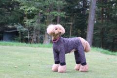  [Ratia/Finland]�����₷���Ē����₷���I�[�o�[�I�[���yThe Pole Overall Ratia�z���E��^���p�T�C�Y