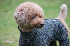  [Ratia/Finland]�����₷���Ē����₷���I�[�o�[�I�[���yThe Pole Overall Ratia�z���^���p�T�C�Y