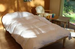  �t�B�������h�EANNO/Throw �i�`�������E�[��100���X���[�A�u�����P�b�g