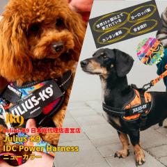 �yJulius K9���{���㗝�X���c�X�z�����E�X�P�[�i�C���E�h�c�b�p���[�n�[�l�X �j���[�J���[ Size0�`3�T�C�Y