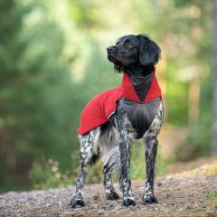 �t�B�������h�̃h�b�O�u�����h�yPomppa�z�y�|���b�p�z�E�h�b�O�t���[�X�W���P�b�g�yPolarPomppa�z���`���^��