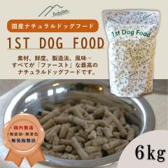  �i�`�������h�b�O�t�[�h�u1stDogFood�v�@6�L��