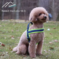 [Hakusan]�̂ɗD�����t�B�b�g����i������T�n�[�l�X�y���r�b�g�n�[�l�X�E�l�I�z