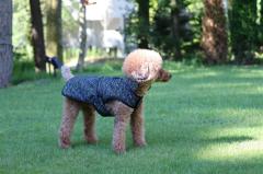  [Hakusan]�܂��ɒ��邨�z�c�W���P�b�g�y�[���W���P�b�g�E���e�B�A�z���E���^���p�T�C�Y