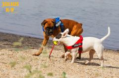 �@�\�����Q�n�[�l�X�yJulius-K9�z�����E�X�P�[�i�C���E�h�c�b�x���g�n�[�l�X �O�T�C�Y�@���`��^���p�T�C�Y