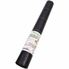 �V���Z�C �h���V�[�g 1�~50m ����l�l1�܂�