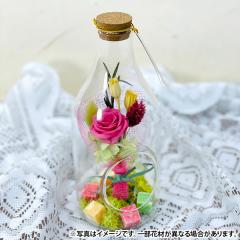 ���� �����w��s�� welzo ���j�� �v���U�[�u�h�t�����[�A���}�{�g�� �k�C���E����E�����z���s��