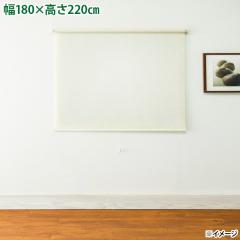 ���� �����w��s�� �t���l�X ���[���X�N���[�� �g�b�e�B�[�m L3816 ���� �k�C���E����E�����z���s��