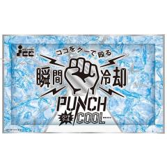 �A�C�X�W���p�� �u�ԗ�p�p�b�N �p���`�N�[�� ��p�� �ۗ�� �@���Ɨ₦��