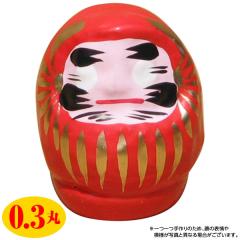 ���� �����w��s�� �J�^�E������܁i�ԁj ����5cm �i0.3�ہj ����E�����z���s��