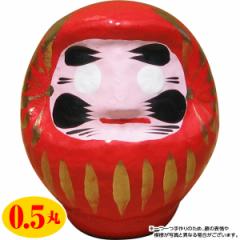 ���� �����w��s�� �J�^�E������܁i�ԁj ����9cm �i0.5�ہj ����E�����z���s��