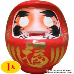 ���� �����w��s�� �J�^�E������܁i�ԁj ����12cm �i1�ہj ����E�����z���s��