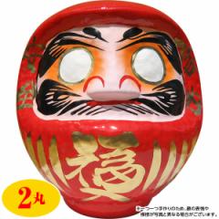 ���� �����w��s�� �J�^�E������܁i�ԁj ����16cm �i2�ہj ����E�����z���s��