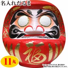 ���� �����w��s�� �J�^�E������܁i�ԁj ����39cm �i11�ہj ����E�����z���s��