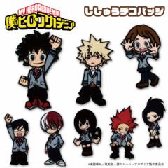 �f�R�o�b�W �l�̃q�[���[�A�J�f�~�A �o�b�` �A�N�Z�T���[ ���΂� �|�[�` �q���A�J �L����