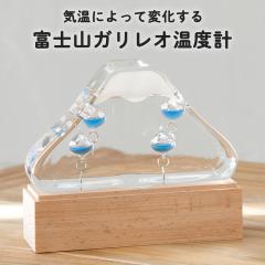 �K���X�t���[�g���x�v�@�x�m�R 333-215 ���J�Y�� �C�یv �C���e���A �K���X �G�� �V�C �T�C�G���X �Ȋw ���� �~ �N���X�}�X �C���~�l�[�V