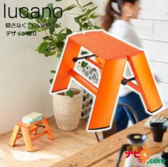 fUC@lucano 1-step Orange@J[m Xebv(1i) IW JH(HASEGAWA) ML1.0-1OR r ݑ