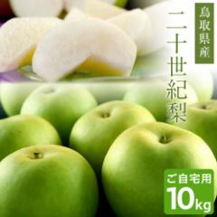 梨 二十世紀梨(20世紀梨)10kg詰(32玉前後入) 鳥取県産 なし 訳あり(ご自宅用) 送料無料(北海道・沖縄を除く)