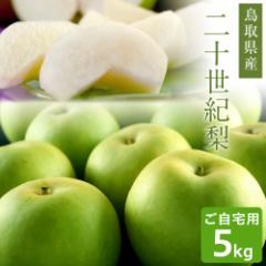 梨 二十世紀梨(20世紀梨)5kg詰(16玉前後入) 鳥取県産 なし 訳あり(ご自宅用) 送料無料(北海道・沖縄を除く)