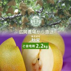 広岡農場の秋栄(あきばえ)2.2kg詰(5〜7玉入) 鳥取県産 梨 なし 訳あり(ご自宅用) 二十世紀梨と幸水の掛け合わせ 送料無料(北海道