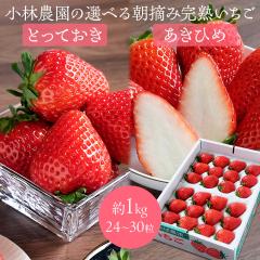 ���є_���̑I�ׂ钩�E�݊��n������ ��1kg�i24�`30���j ���挧�I���W�i���V�i��u�Ƃ��Ă����v/�u�͕P�i�����Ђ߁j�v �嗱 ���w�엿�s�g�p