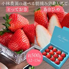 ���є_���̑I�ׂ钩�E�݊��n������ ��500g�i12�`15���j ���挧�I���W�i���V�i��u�Ƃ��Ă����v/�u�͕P�i�����Ђ߁j�v �嗱 ���w�엿�s�g