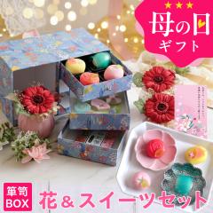 ��̓� �M�t�g �v���[���g �ԂƃZ�b�g �� �X�C�[�c �v���U�[�u�h�t�����[���a�َq�Z�b�g�u�����v �������� ���َq �H�ו� �O���� 2026 40