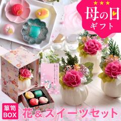 ��̓� �M�t�g �v���[���g �ԂƃZ�b�g �� �X�C�[�c �v���U�[�u�h�t�����[���ЂƂ����㐶�َq�Z�b�g�u�ؕ��v �������� �a�َq ���َq �H��