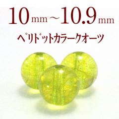 �V�R�΃r�[�Y �p���[�X�g�[�� ������ �y���h�b�g �J���[ �N�H�[�c �o������ 10�`10.9mm �V�R�� 1���� �J���[�X�g�[�� ���� 2026 