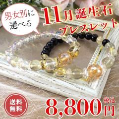 �a���� �u���X���b�g �p���[�X�g�[�� �V�g���� 11���a���� �V�R�΃u���X���b�g �������N�H�[�c �����Y ���f�B�[�X �J�^�u���X�b�g ���^�A