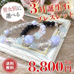 �a���� �u���X���b�g �p���[�X�g�[�� �A�N�A�}���� 3���a���� �V�R�΃u���X���b�g �u���[���[�X�A�Q�[�g �����Y ���f�B�[�X �J�^�u���X��