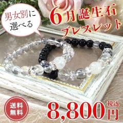 �a���� �u���X���b�g �p���[�X�g�[�� ���[���X�g�[�� 6���a���� �V�R�΃u���X���b�g �I�j�L�X �����Y ���f�B�[�X �J�^�u���X���b�g ���� 