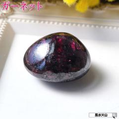 �K�[�l�b�g ���[�h���C�g�K�[�l�b�g ����� ���� �� �p���[�X�g�[�� �ɂ���� �V�R�� ���[�X 1���a���� �z������ �ў֐� �����^�A�b�v ��