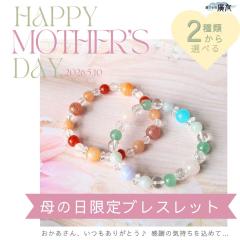 ��̓� �v���[���g �p���[�X�g�[�� �u���X���b�g 2��ނ���I�ׂ� �a���� ���f�B�[�X �V�R�� ��� �K�^ ���� 5�� 6�� 8�� �Ő� ���[��