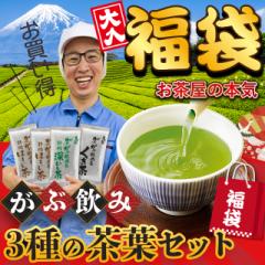 福袋 2022 お茶 飲み比べ お試し 日本茶 緑茶  ほうじ茶 静岡茶 詰め合せ 300g 3種の大入り がぶ飲み茶葉セット メール便 送料無料 父の