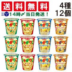 カルビー じゃがりこ 詰め合わせ 大量セット ④種60個 食品