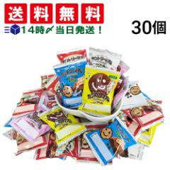 【 送料無料 当日翌日出荷 】 不二家 カントリーマアム ココア 30個 セット (1枚標準 10g)